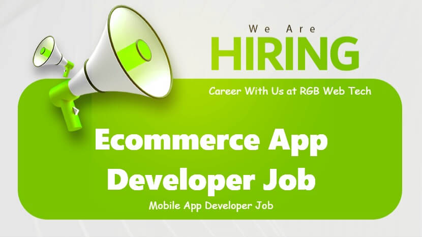 Ecommerce Website Developer