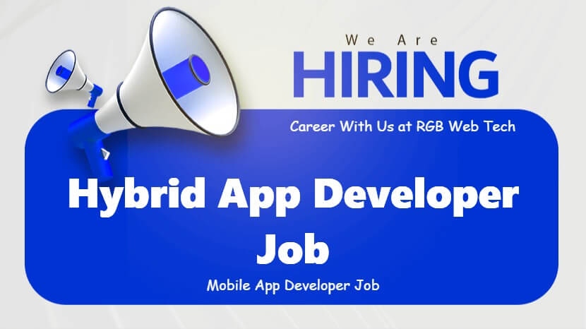 Hybrid Developer
