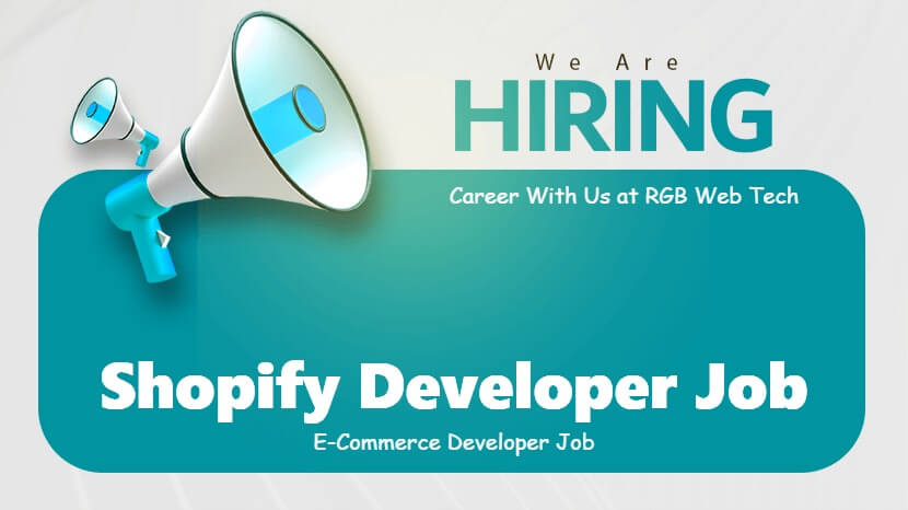 Shopify Expert Developer