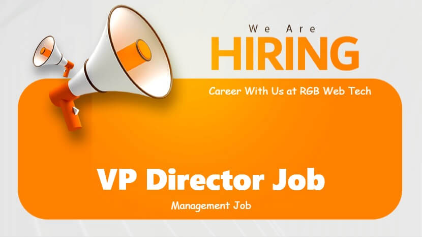 Vice President Creative Director