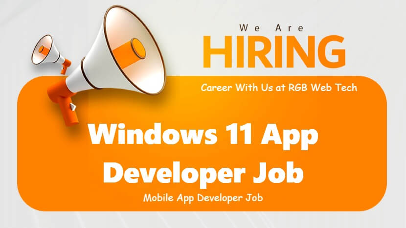 Windows App Store Developer