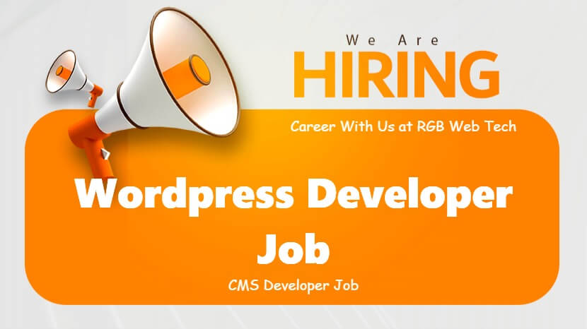Wordpress Website Developer