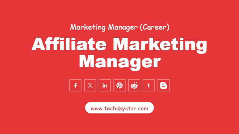 Affiliate Marketing Manager