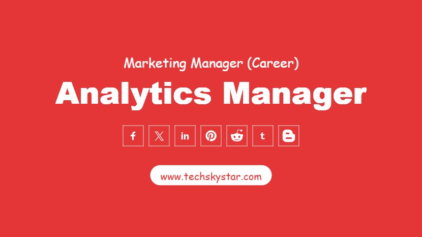 Analytics Manager