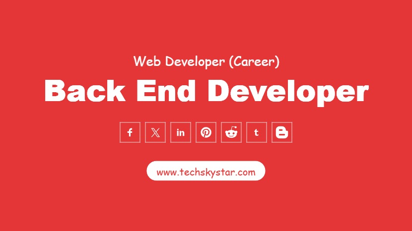 Back End Developer