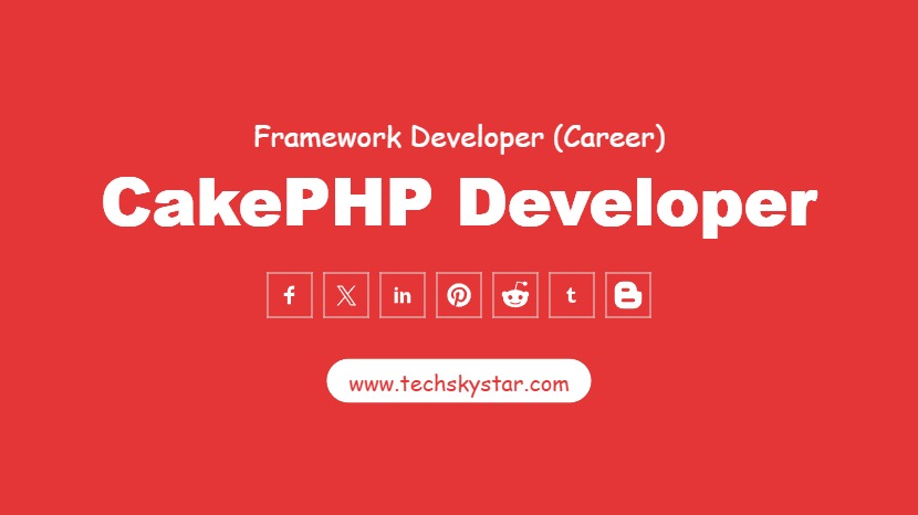 CakePHP Developer
