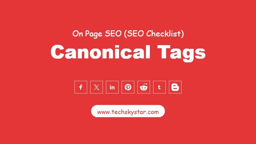 How to Use Canonical Tags to Prevent Duplicate Content Issues
