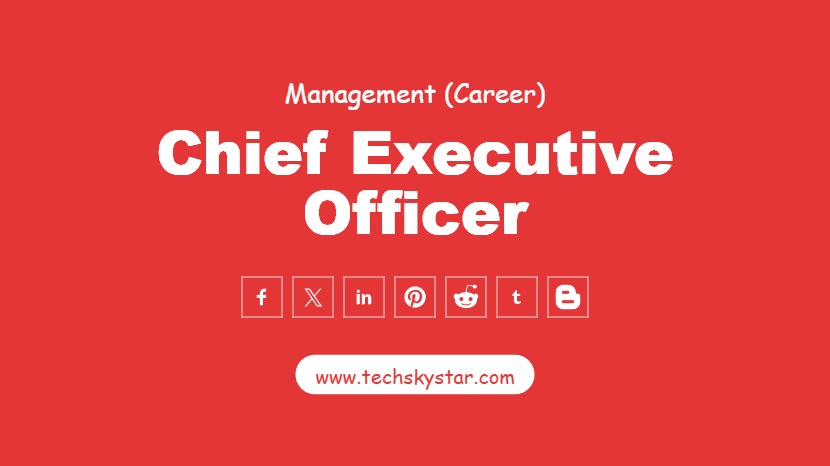 Chief Executive Officer