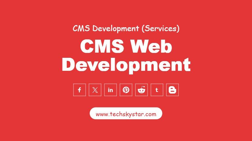CMS Web Development Solution