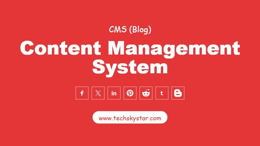 Content Management System (CMS)