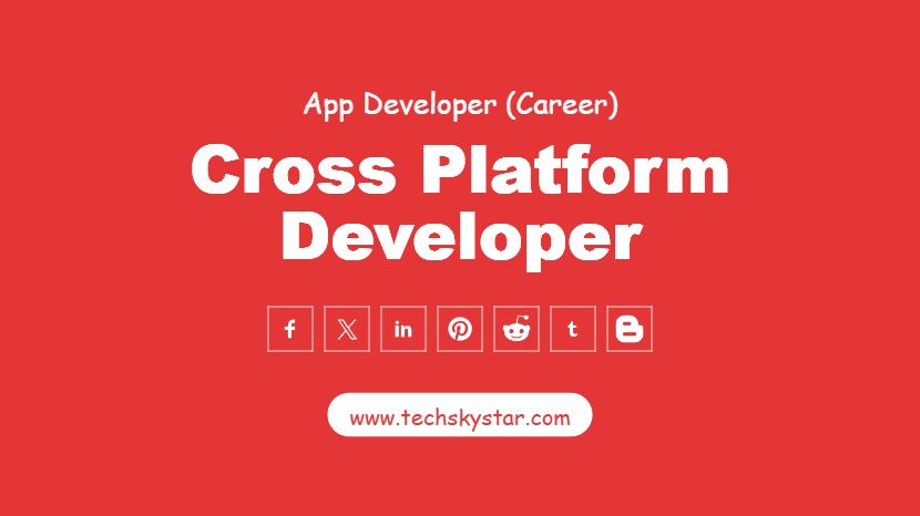Cross Platform Developer