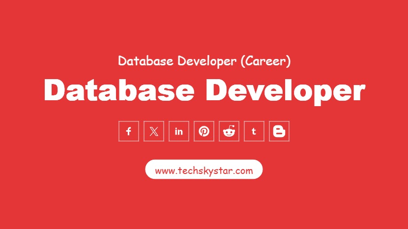 Database Developer