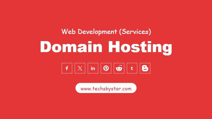 Domain Hosting