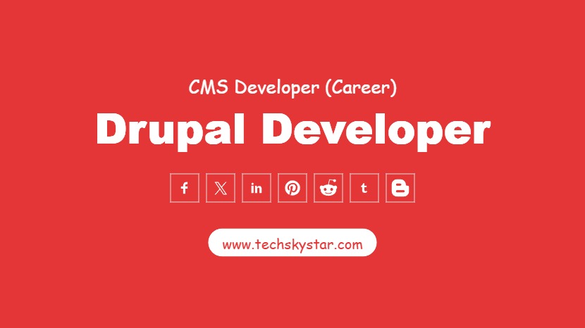 Drupal Developer