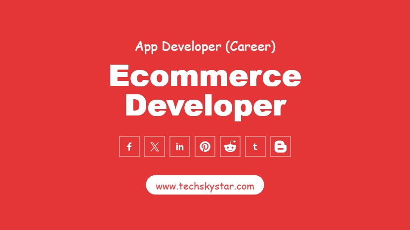 Ecommerce Developer