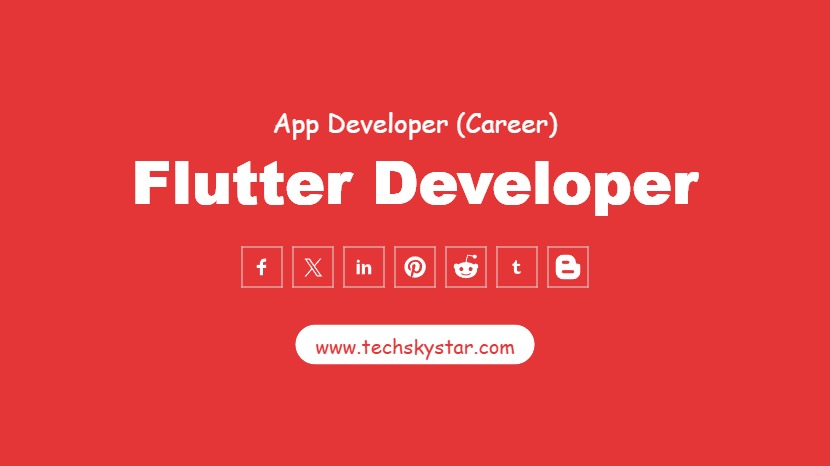 Flutter Developer