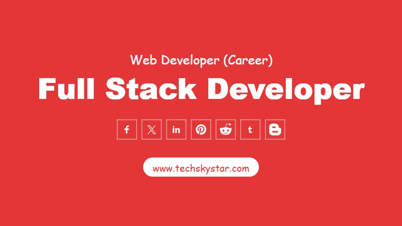 Full Stack Developer