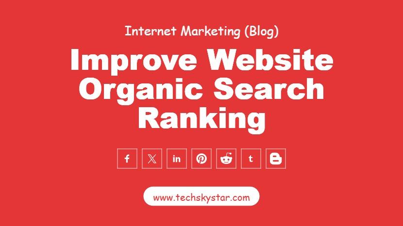 13 Effective Tips to Improve Website Organic Search Ranking