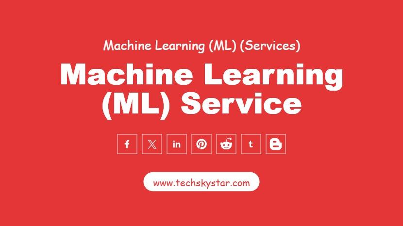Machine Learning (ML) Service