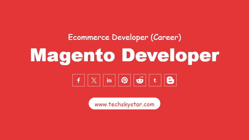 Magento Developer