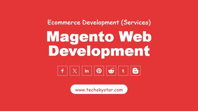 Magento Web Development