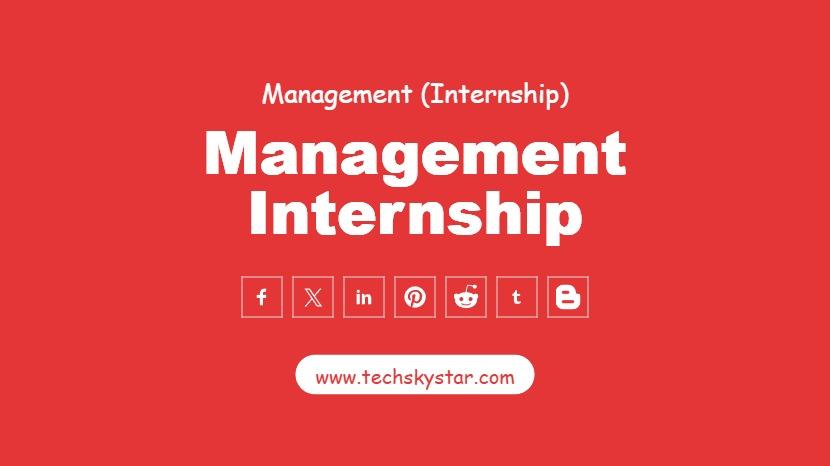 Management Internship
