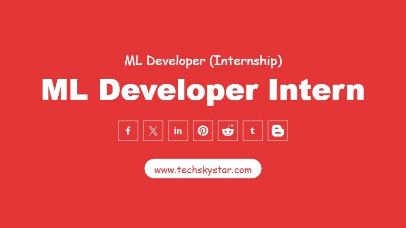 ML Developer Intern