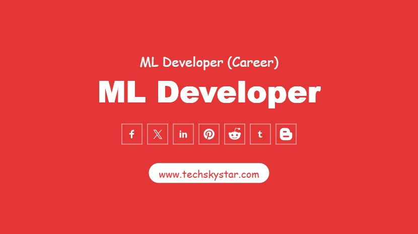 ML Developer