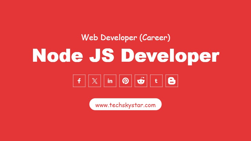 Node JS Developer
