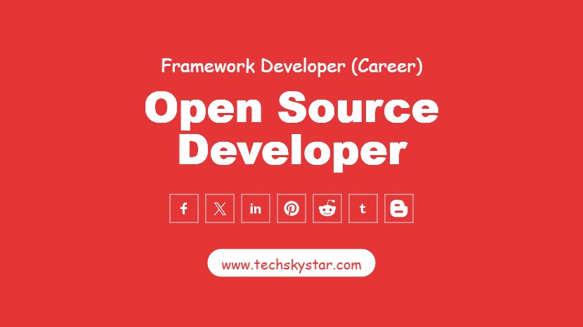 Open Source Developer