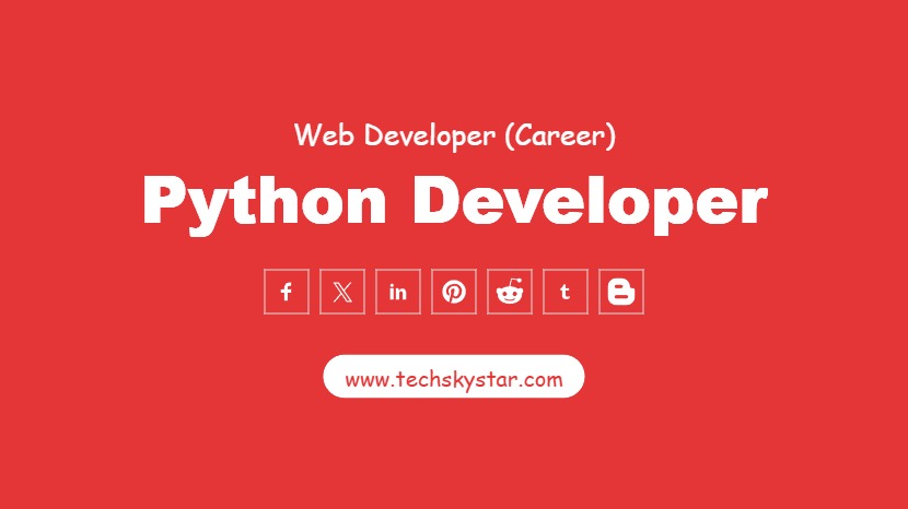 Python Developer