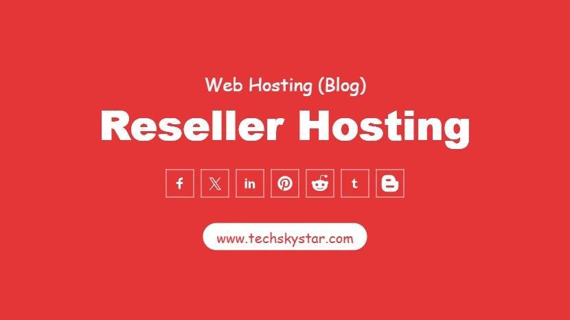 What is Reseller Hosting? And How Does It Work?