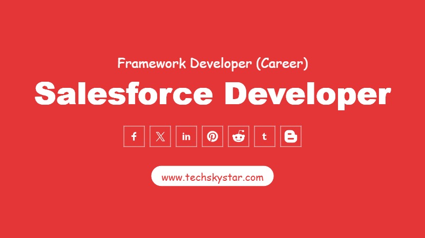 Salesforce Developer