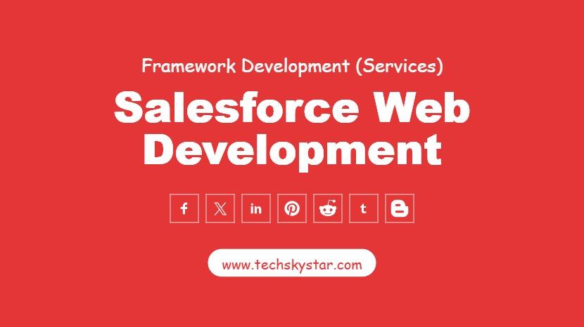 Salesforce Web Development