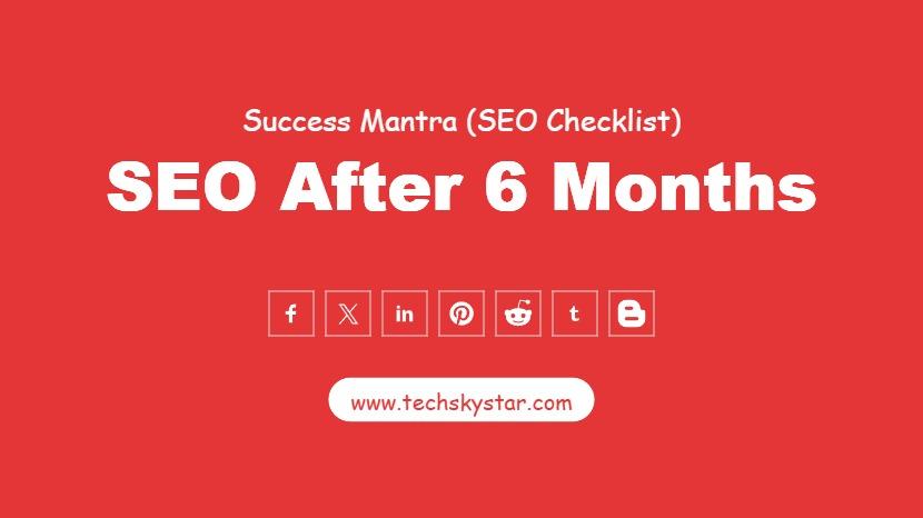 SEO After 6 Months