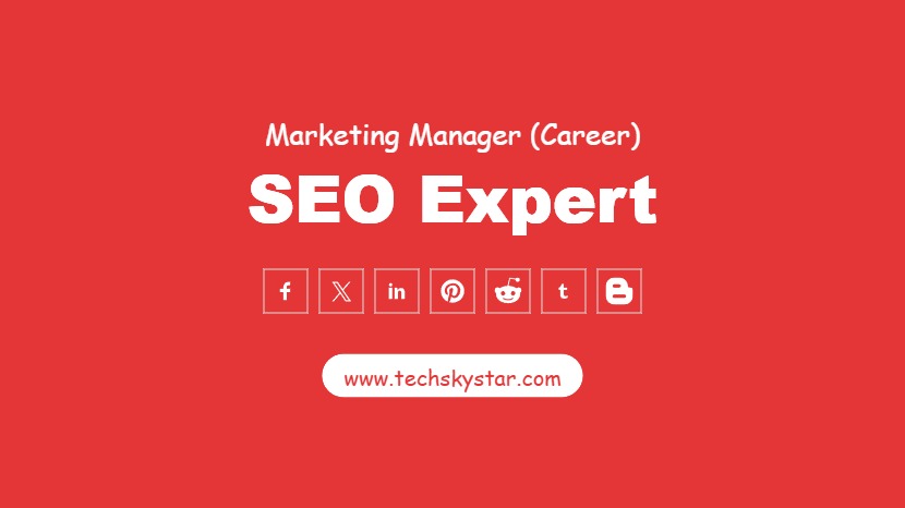 SEO Expert