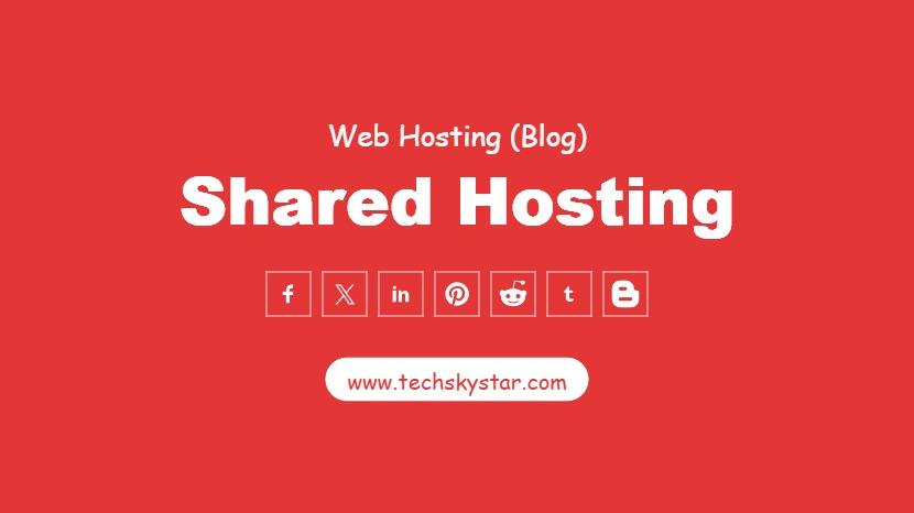 What is Shared Web Hosting?