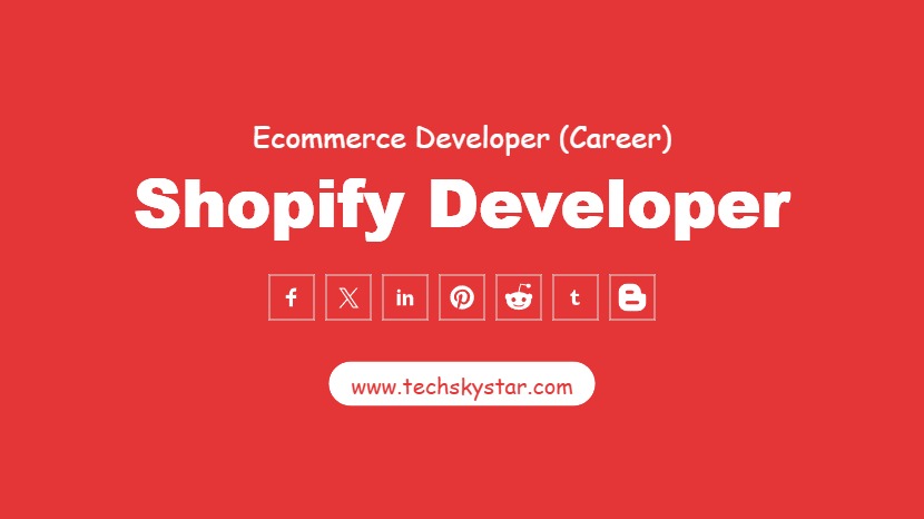 Shopify Developer