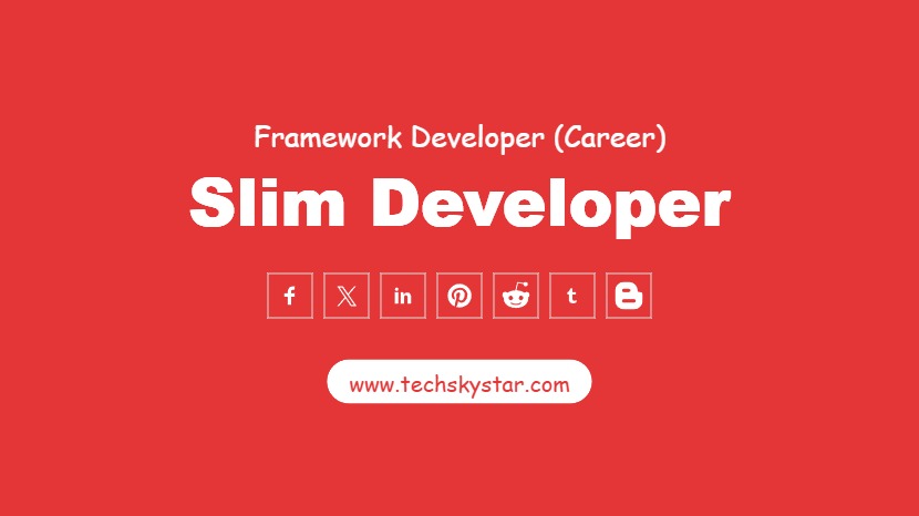 Slim Developer
