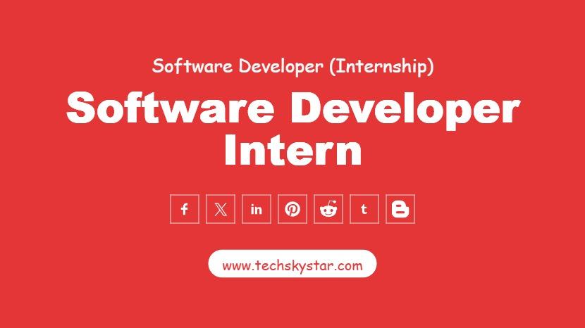 Software Developer Intern