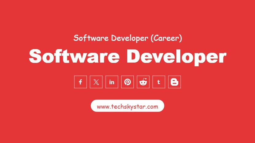 Software Developer