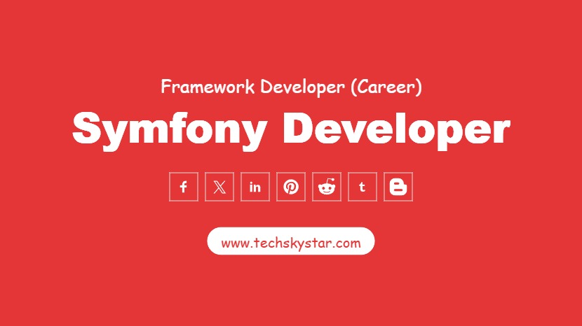Symfony Developer