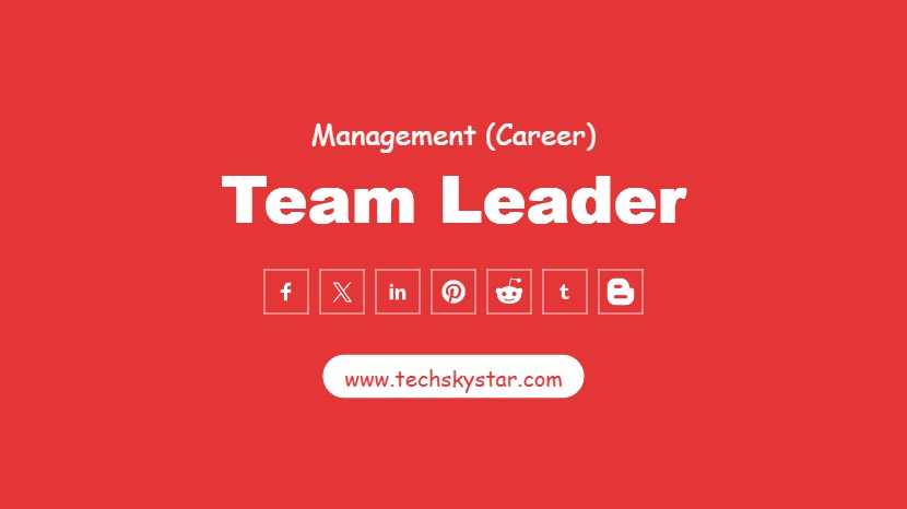 Team Leader