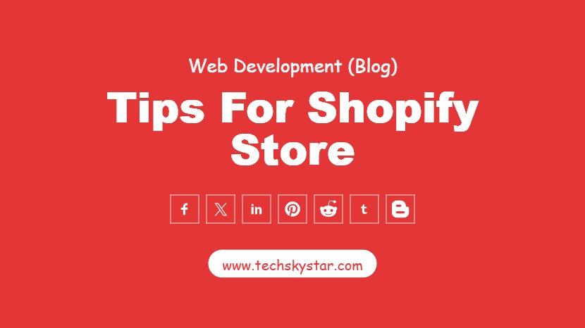 Tips for Shopify Store all New Owner Need to Know