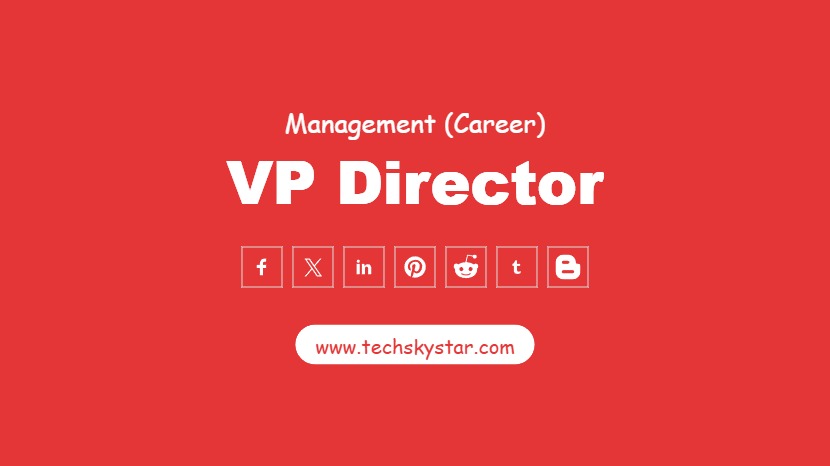 VP Director