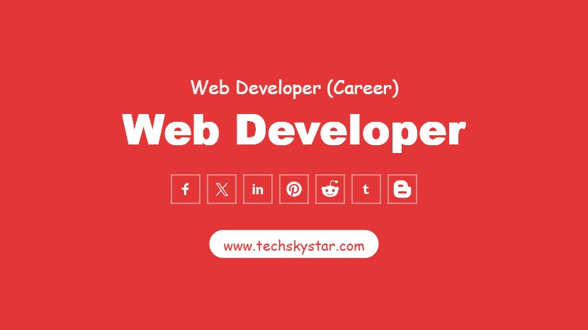 Website Developer