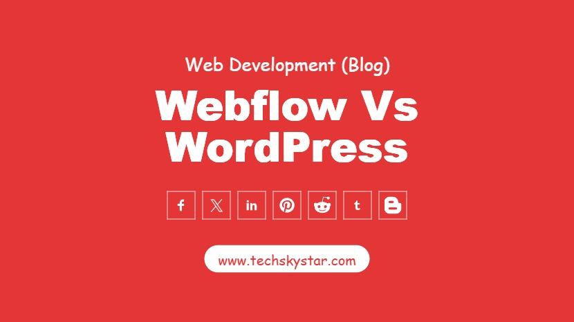 Webflow vs WordPress vs Custom Dev: Which Is Best?
