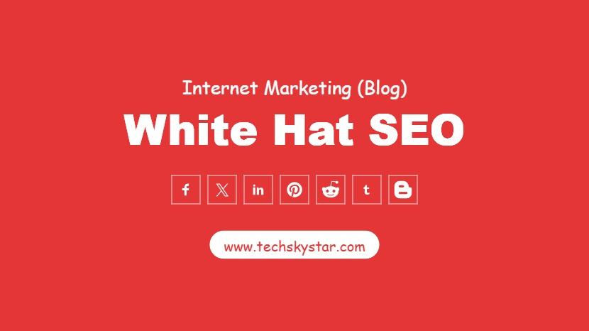 White Hat SEO Techniques to Double Your Search Traffic