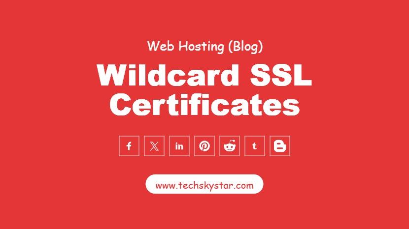 Wildcard SSL Certificates - Multi-Domain Security