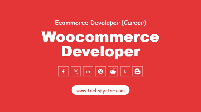 Woocommerce Web Developer